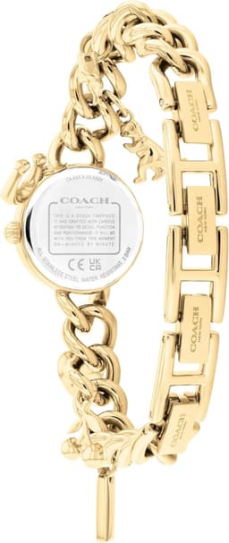 Coach IRIS 22.5mm 504648 Kadın, detay görünüm 3