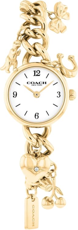 Coach IRIS 22.5mm 504648 Kadın, birincil ürün fotoğrafı