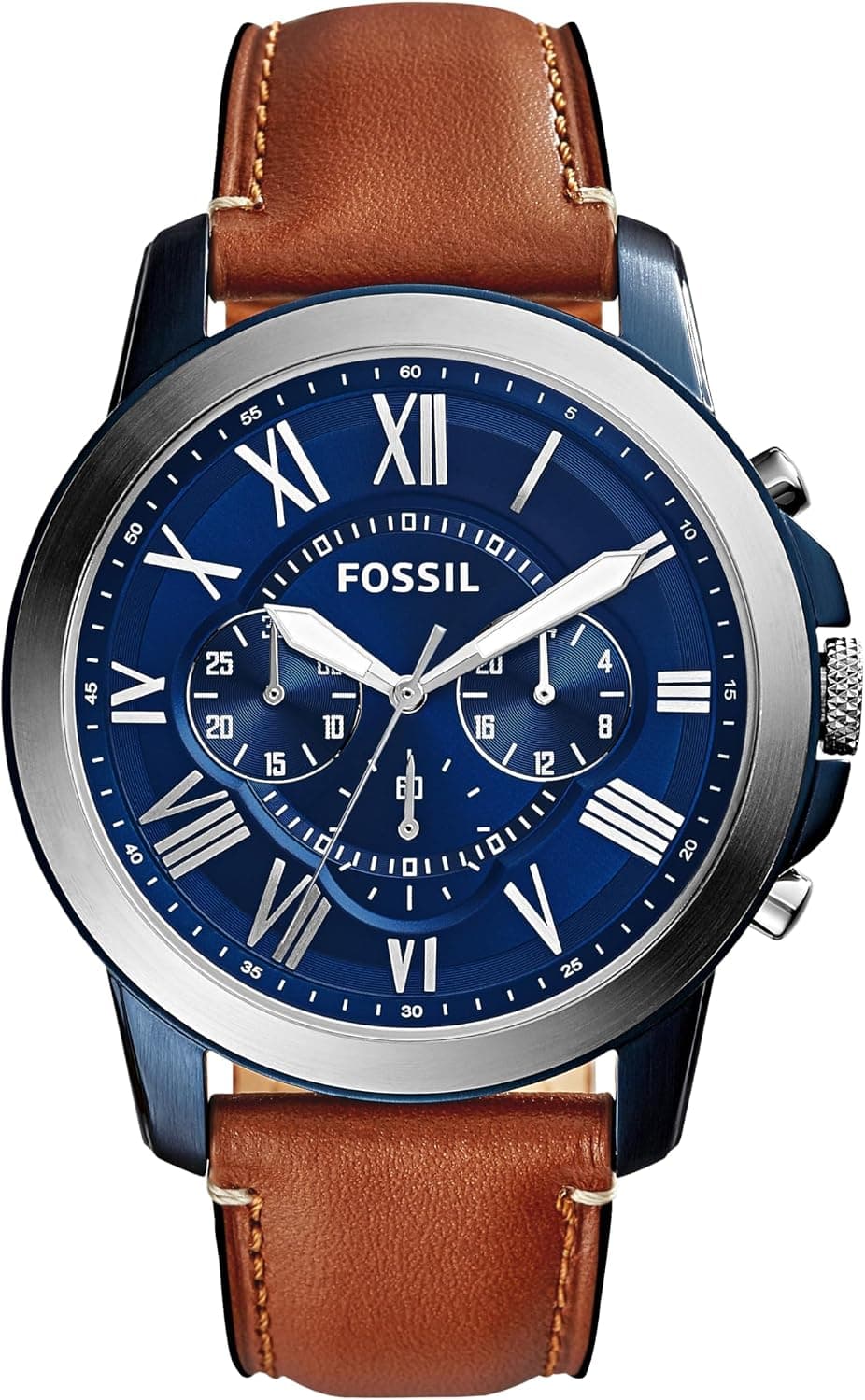 Fossil Grant