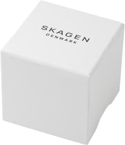 Skagen Denmark Holst 40mm Mens, detail view 4