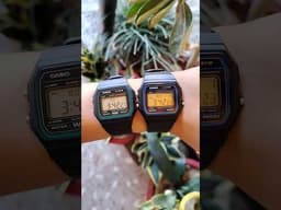 Casio F-91W video 2