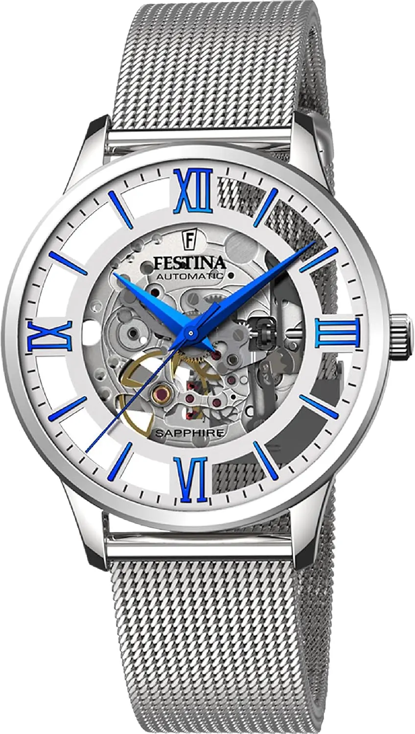 Festina F20534, 42mm, Gümüş Kadran, Gümüş Paslanmaz Çelik Kordon